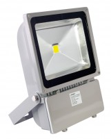 ������������ ��������� LED  Jazzway  PFL -100W  �����