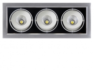 ���������� ������������ ��������� PSP-S 213  3x8W 4000K 55� White IP40
