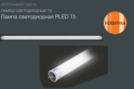 ����� ������������ ������ �������������� ������ PLED  T5 - 600GL  8w FROST 6500K 230V/50Hz (������)   Jazzway